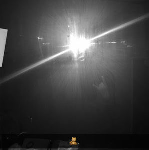 Meet your Posher, Arlene